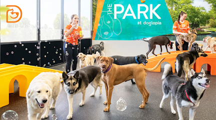 Dog Day Care in Scottsdale, Arizona - Dogtopia of Scottsdale-Raintree