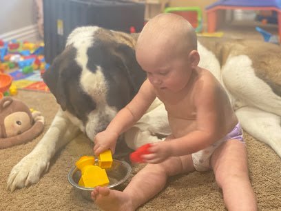 Dog Day Care in Queen Creek, Arizona - Mr. Rogers Dog Boarding and Day Care