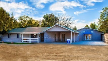 Dog Day Care in Gilbert, Arizona - Top Dog Boarding and Training