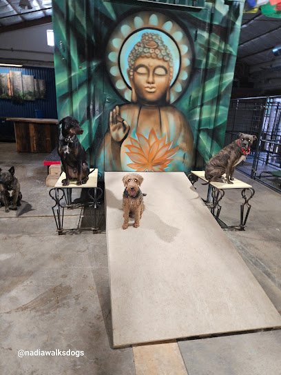 Dog Day Care in Phoenix, Arizona - Nadia's Dog Nanny Services LLC Dog Day Care in Phoenix, Arizona - Nadia's Dog Nanny Services LLC