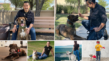 Dog Day Care in Buckeye, Arizona - AZ Dog Boss