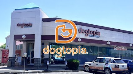 Dog Day Care in Phoenix, Arizona - Dogtopia of Paradise Valley Village Dog Day Care in Phoenix, Arizona - Dogtopia of Paradise Valley Village