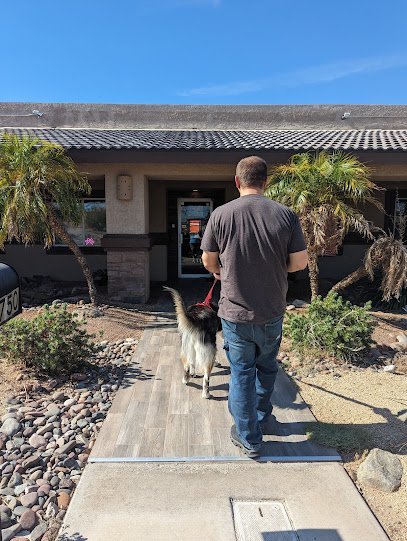 Dog Day Care in Lake Havasu City, Arizona - The Dog House Doggy Day Care Dog Day Care in Lake Havasu City, Arizona - The Dog House Doggy Day Care