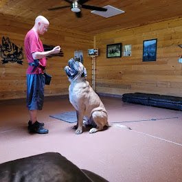 Dog Day Care in Glendale, Arizona - Desert Sky K9 Dog Day Care in Glendale, Arizona - Desert Sky K9