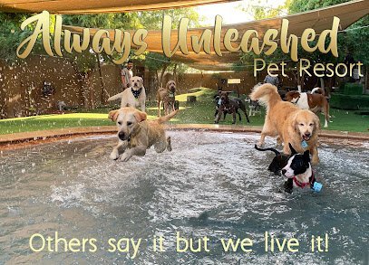 Dog Day Care in Scottsdale, Arizona - Always Unleashed Pet Resort Dog Day Care in Scottsdale, Arizona - Always Unleashed Pet Resort