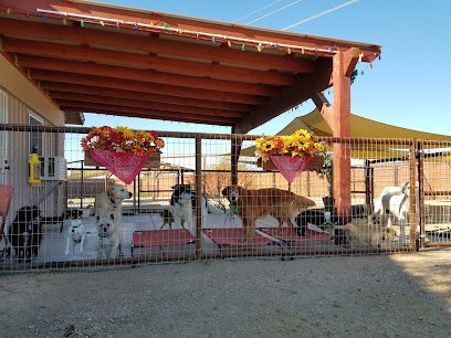 Dog Day Care in Phoenix, Arizona - Dog-Gone Purrr-Fect Pet Sitting & Doggie Day Care Dog Day Care in Phoenix, Arizona - Dog-Gone Purrr-Fect Pet Sitting & Doggie Day Care