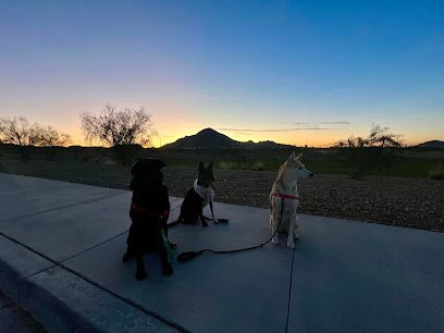 Dog Day Care in San Tan Valley, Arizona - Joy's Confident K9 Dog Day Care in San Tan Valley, Arizona - Joy's Confident K9