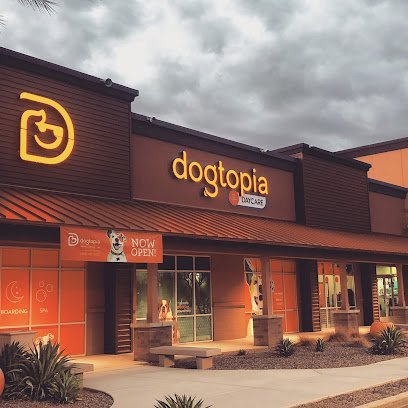 Dog Day Care in Chandler, Arizona - Dogtopia of South Chandler Dog Day Care in Chandler, Arizona - Dogtopia of South Chandler