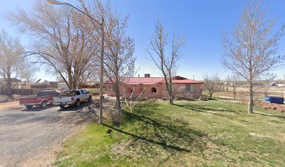 Dog Day Care in St Johns, Arizona - RedDogBoarding