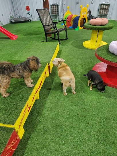 Bowz and Bones Pet Resort