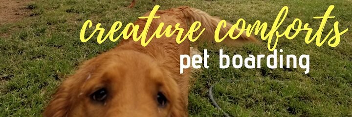 Creature Comforts Pet Boarding Daycare