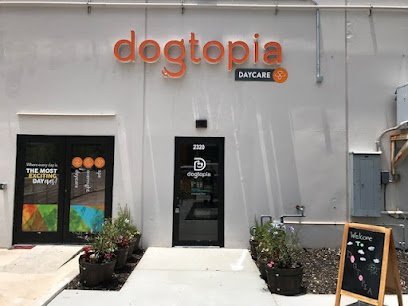 Dog day care in Apopka Florida Dogtopia of Orlando Apopka 1