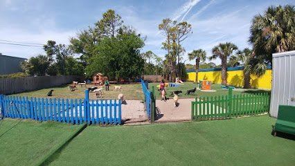 Dog day care in Atlantic Beach Florida Pooches  Playhouse 1