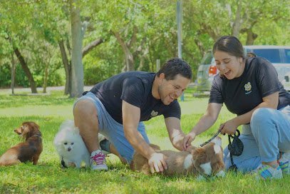 Dog day care in Aventura Florida Dukepaws Dog walking Pet sitter 1