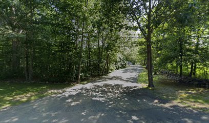 Dog day care in Bethlehem Connecticut Blue Ribbon Boarding Kennels 1
