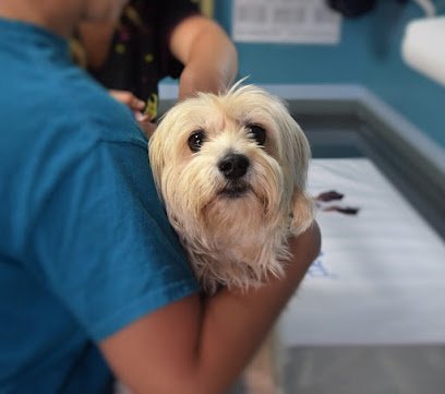 Dog day care in Bonita Springs Florida Four Paws Salon Spa 1