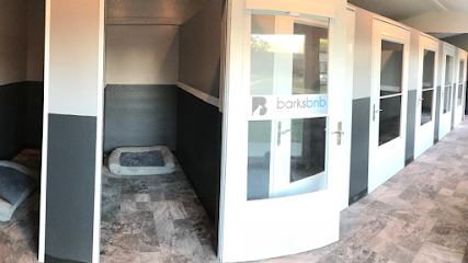 Dog day care in Bradenton Florida BarksBnb 1