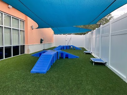 Dog day care in Bradenton Florida The Woof on Cortez Daycare Boarding 1