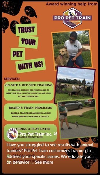 Dog day care in Bunnell Florida Pro Pet Train Inc 1