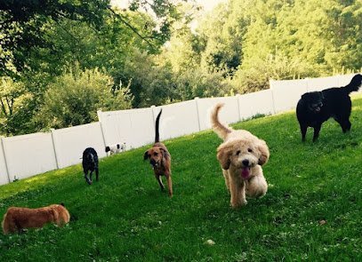 Dog day care in Canton Connecticut Cherry Brook Kennels 1