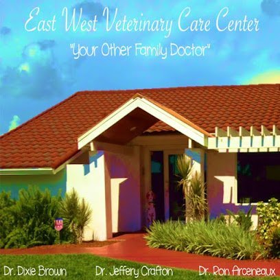 Dog day care in Cape Coral Florida East West Veterinary Care Center 1