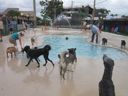 Dog day care in Cape Coral Florida PetCoral Veterinary Hospital and Resort 1