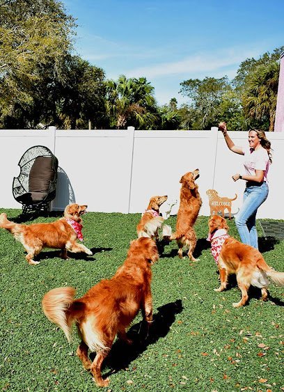 Dog day care in Clearwater Florida Posh by Lucky Puppies 1