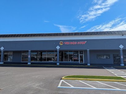 Dog day care in Clearwater Florida The Dog Stop Clearwater 1