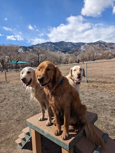 Dog day care in Colorado Springs Colorado Trails Tails Dog Adventures
