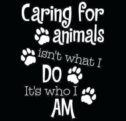 Dog day care in Cromwell Connecticut Doggie Castle 1