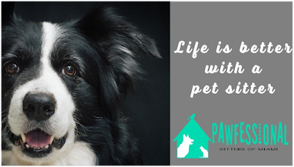 Dog day care in Cutler Bay Florida Pawfessional Sitters of Miami 1