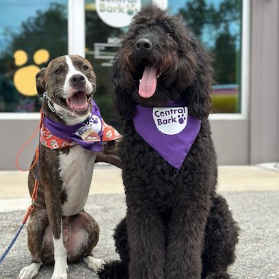 Dog day care in Danbury Connecticut Central Bark Danbury 1