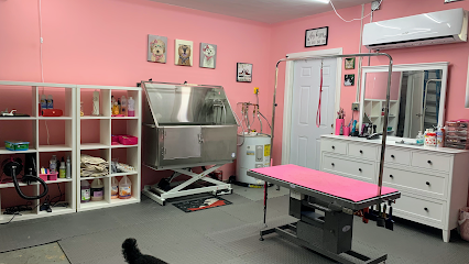 Dog day care in Davie Florida Fancy Pets Grooming 1