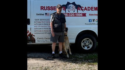 Dog day care in Daytona Beach Florida Russell s K9 Academy 1