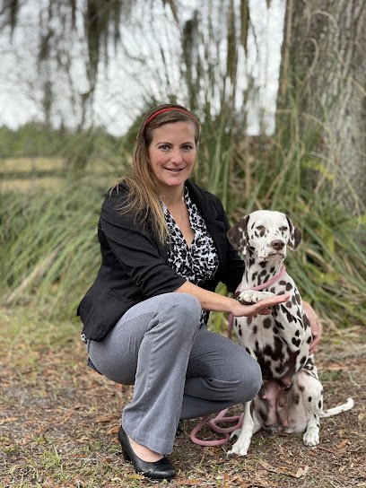Dog day care in DeLand Florida Noah s Ark Boarding Kennel 1