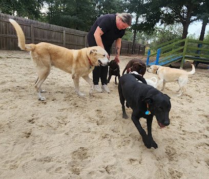 Dog day care in Defuniak Springs Florida Best Pals Pet Resort 1