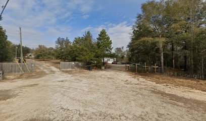 Dog day care in Defuniak Springs Florida Destination Boarding Grooming Daycare 1