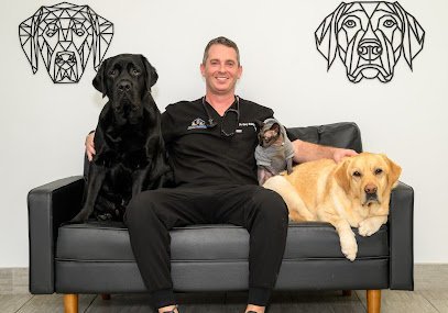 Dog day care in Delray Beach Florida Imperial Point Animal Hospital of Delray 1