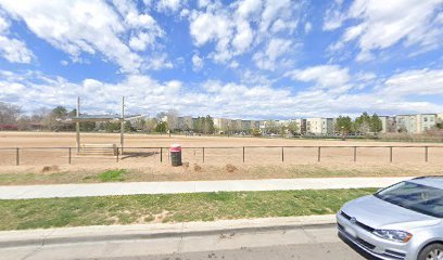 Dog day care in Denver Colorado WeLoveDogs.Dog