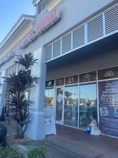 Dog day care in Doral Florida Hairy s Puppies World Miami Puppy Store 1