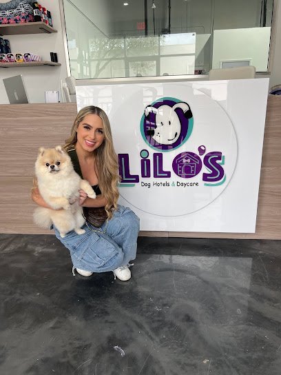 Dog day care in Doral Florida Lilos Dog Hotels Daycare 1
