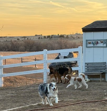Dog day care in Elizabeth Colorado Barkin Barn LLC