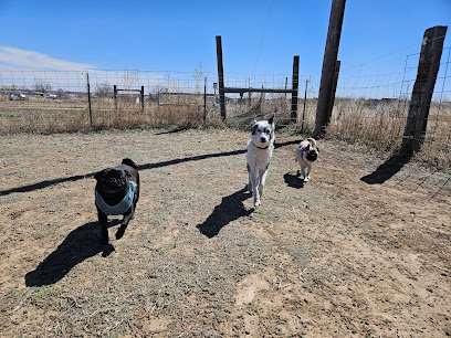 Dog day care in Erie Colorado Country Bark Colorado