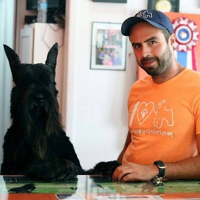 Dog day care in Fernandina Beach Florida Hot Paws Pet Grooming Spa Resort  1