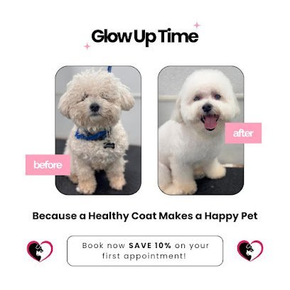 Dog day care in Fort Lauderdale Florida TLC Pet Care Services 1