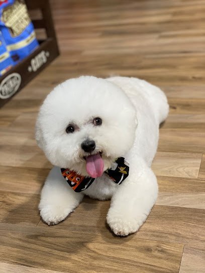 Dog day care in Fort Myers Florida Max s Pet Market Salon Fort Myers 1