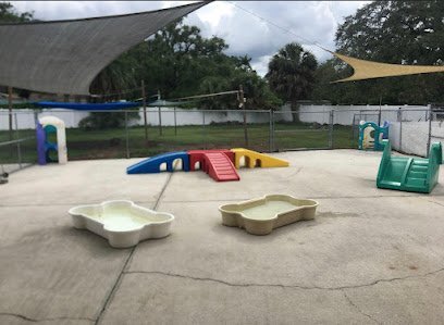 Dog day care in Fort Myers Florida Your K9s Come First 1