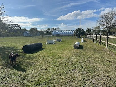 Dog day care in Fort Pierce Florida Kilo9 Hotel 1