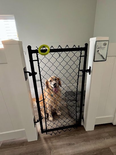 Dog day care in Fort Pierce Florida Paws Retreat 1