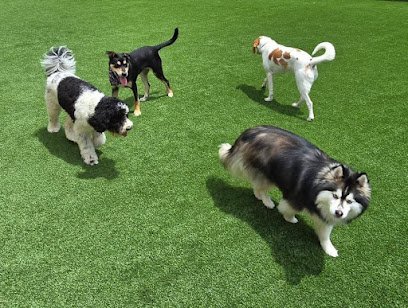 Dog day care in Freeport Florida Sandy Paws Resort 1